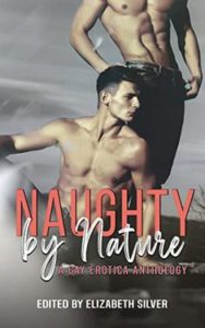 Book Cover: Naughty by Nature